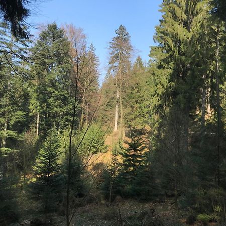 Ferienwohnung Hesselbach Oberkirch  Εξωτερικό φωτογραφία