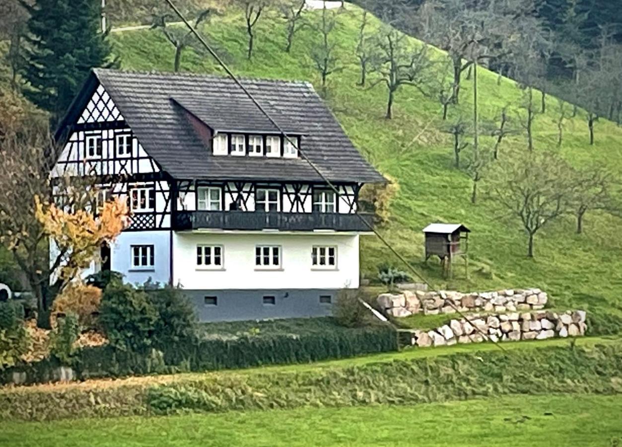 Ferienwohnung Hesselbach Oberkirch  Εξωτερικό φωτογραφία