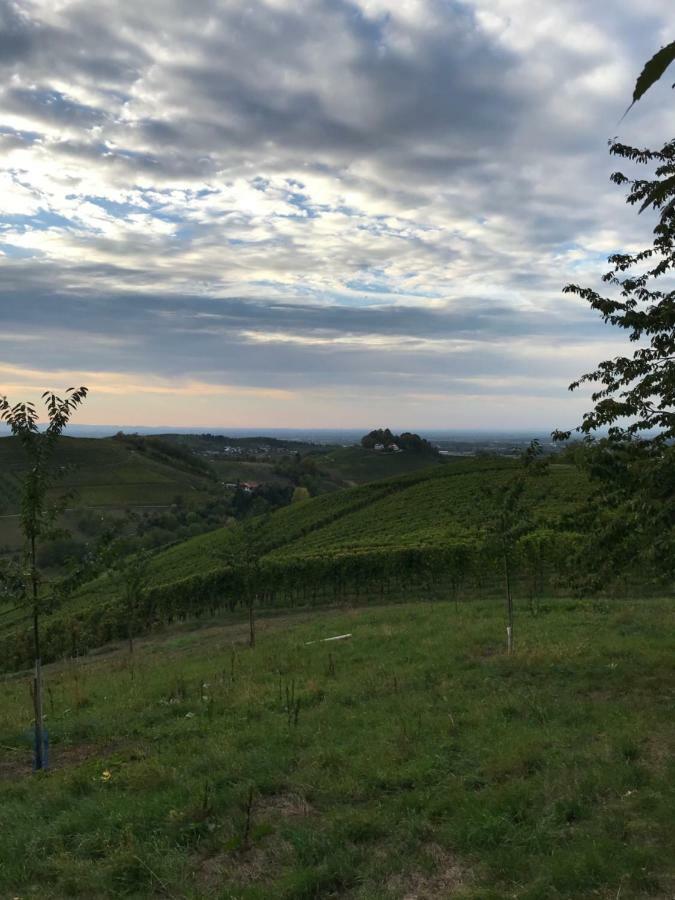 Ferienwohnung Hesselbach Oberkirch  Εξωτερικό φωτογραφία