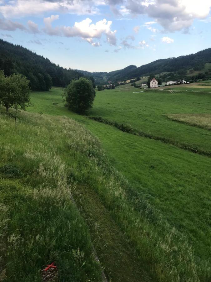 Ferienwohnung Hesselbach Oberkirch  Εξωτερικό φωτογραφία